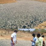 ತುಮಕೂರು: ಭೀಕರ ಬಿಸಿಲು: ಸಾವಿರಾರು ಮೀನುಗಳು ಸಾವು
