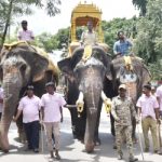ತುಮಕೂರು: ದಸರಾ ಅಂಬಾರಿ ಹೊರುವ ಆನೆ ಇದೇ ನೋಡಿ