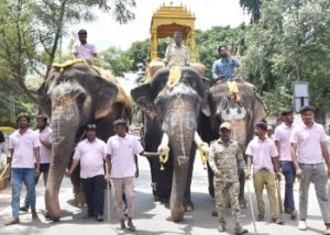 ತುಮಕೂರು: ದಸರಾ ಅಂಬಾರಿ ಹೊರುವ ಆನೆ ಇದೇ ನೋಡಿ